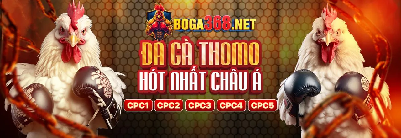 Hướng dẫn chiến lược cá cược hiệu quả tại 55winbet win